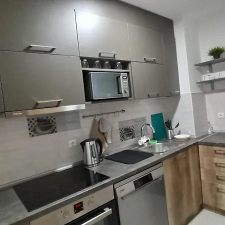 Luxury Apartments Parking In Garage Ni Dış mekan fotoğraf